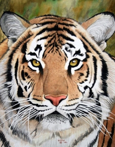 tiger-face (27)